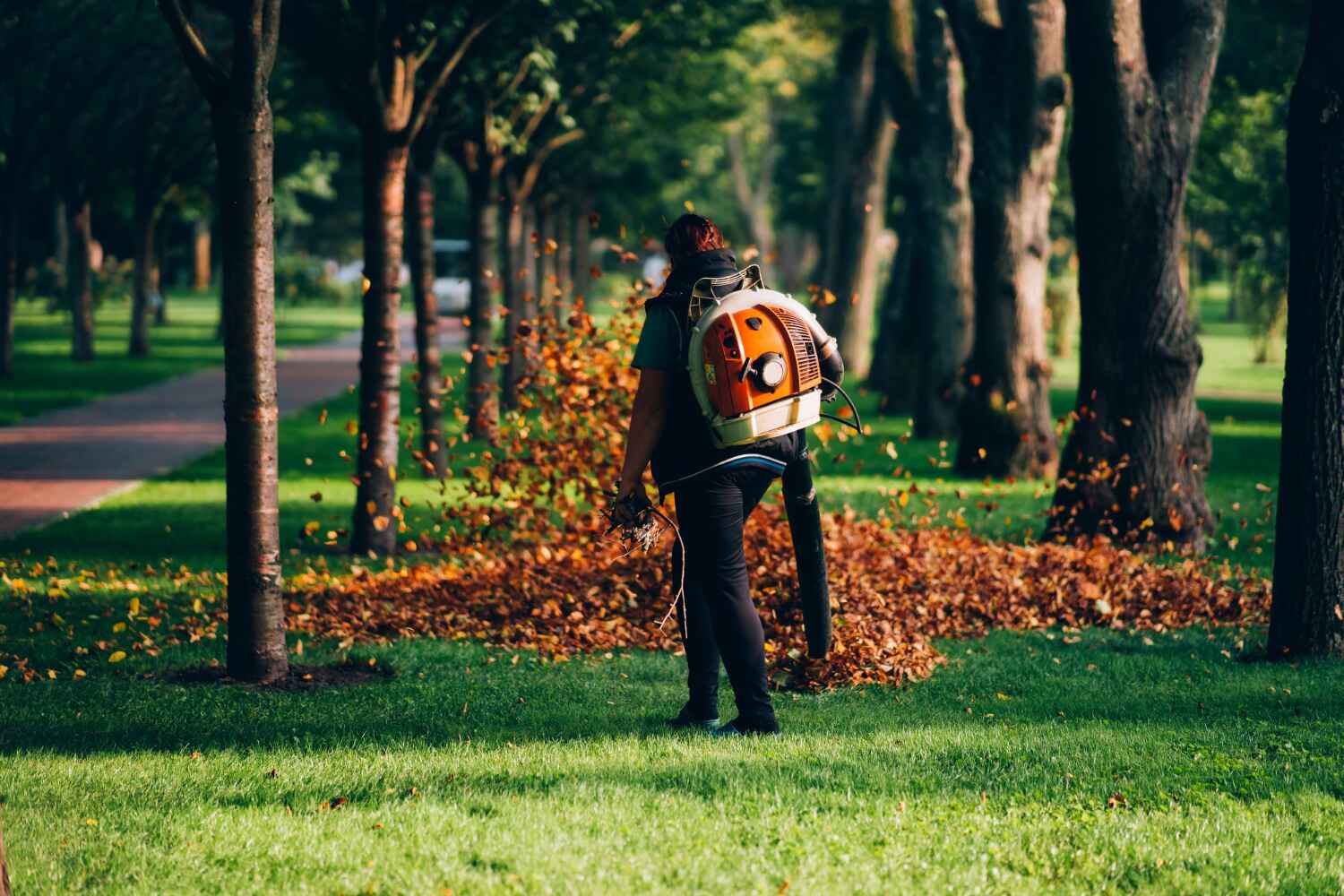 Best Tree Removal Near Me  in South Highpoint, FL